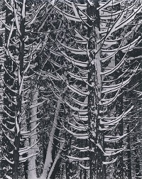Ansel Adams, Forest Detail, Winter, Yosemite National Park, 1942