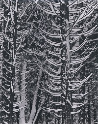 Ansel Adams, Forest Detail, Winter, Yosemite National Park, 1942