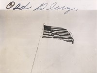 Anonymous Photographer, Old Glory