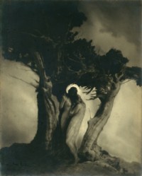 Anne Brigman, The Heart Of The Storm, 1906