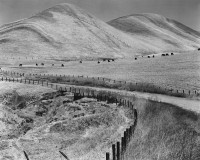 Sonya Noskowiak, Untitled Landscape, 1937