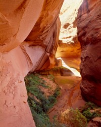 Philip Hyde, Buckskin Gulch, Paria River Canyon, Arizona