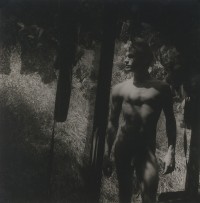 Untitled, Male Nude Through Tattered Screen, Circa 1960