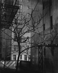 Manhattan Courtyard, 1945