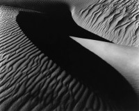 Bird Dune, Oceano, 1934