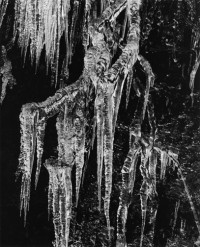 Icicles, 1975