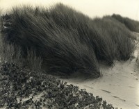 Oceano, California, 1933