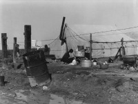 Dorothea Lange - Migrant Camp, Washing, 1938