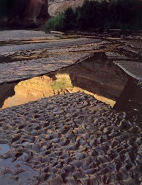 Escalante River, 1980