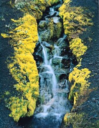 Small Stream in Cinders, Skeljafell, 1972