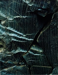 Fractured Obsidian, Landmannalaugar, 1972