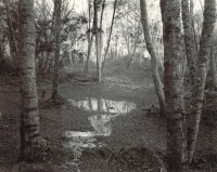 Scott Creek 16, 1986