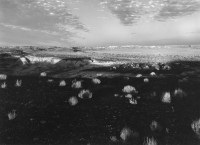 Petrified, Forest, Arizona, 1976