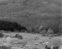 County Wicklow, Ireland, 1970