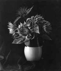 Sunflower, 1969