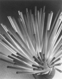 Ruth Bernhard - Straws, 1930