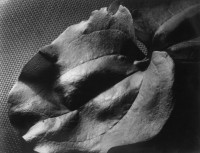 Untitled, 1933 (Leaf)