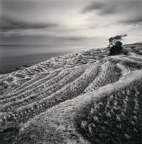 Terraced Hillside, Noto, Japan 2004