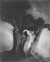 Anne Brigman _ The Heart of the Storm, 1906