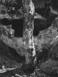 Ansel Adams – Castle Rock, Summit Road, above Saratoga, California, 1963