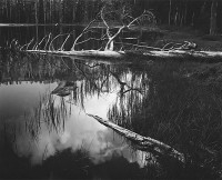 Ansel Adams – Siesta Lake, Yosemite National Park, California, 1958