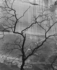 Brett Weston – Glen Canyon, 1960