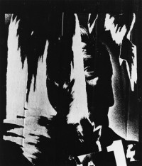 Brett Weston – Torn Poster 1971 / 1973