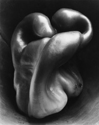 Edward Weston – Pepper No. 30, 1930