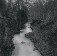 Etruscan Ravine, Barbarano, Italy, 2005