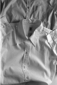 Lawrie Brown, Shirts #2, 2004