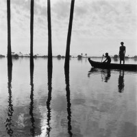 Monica Denevan, Four Palms, Burma, 2004