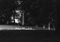 Paul Caponigro - Standing White Deer, Wicklow, Ireland 1967