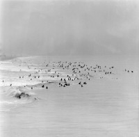 Hazy Day Huntington Beach, circa 1963