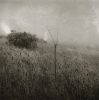 Unai San Martin – Grass in the Fog