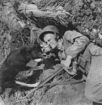 W. Eugene Smith – Dog With Marine in Foxhole, Saipan, circa. 1944