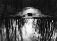 Paul Caponigro, Woods, Redding, Connecticut, 1968