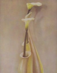 Sheila Metzner, Saxophone Vase Valla, 1985