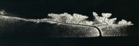 William Garnett, Reflection of the Sun on Dendritic Flow, San Francisco Bay, 1963