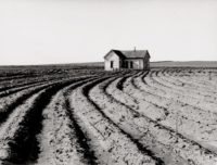 Dorothea Lange, Tractored Out, Childress County, Texas, 1938