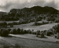 Edward Weston, Eel River, 1937