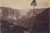 Carleton Watkins, Best General View, Yosemite, c. 1867