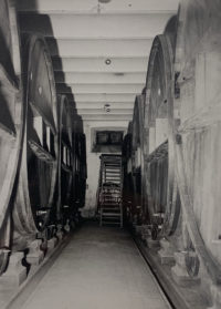 Anonymous, Wine Cellars, Early 1900s