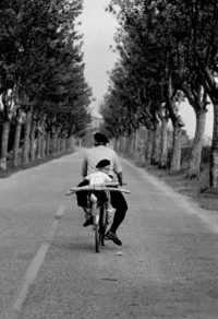 Elliot Erwitt, Provence, 1955