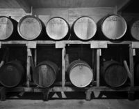 Jonathan Clark, Novitiate Winery Cellars #1, 1972