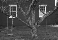 George Tice, Tree, Swings and Windows, Lancaster, Pennsylvania, 1966