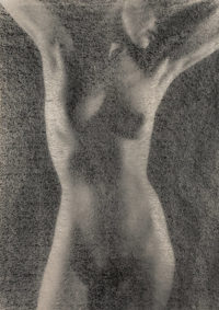 Ruth Bernhard, Rice Paper, 1969