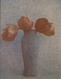 Jeane Birdsall, Untitled (Still Life), 1990, Gum Bichromate, 4" x 3"