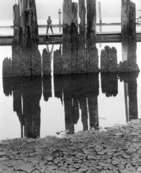 Wynn Bullock, Boy Fishing, 1959