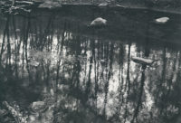 Paul Caponigro, Merced River, Yosemite, California , 1974