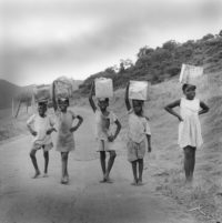 Margo Davis, Carrying Home Mangoes, Antigua, 1970
